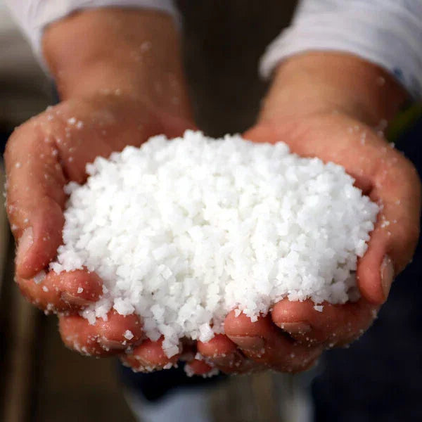 샘표 한여름눈꽃 천일염 굵은소금 1.5kg - DotAsia