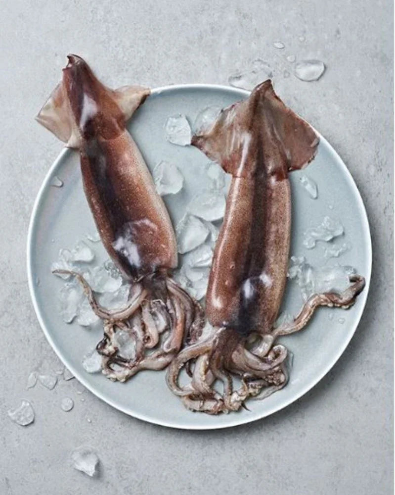 맛사랑 냉동 통오징어 1kg - 냉동 - DotAsia